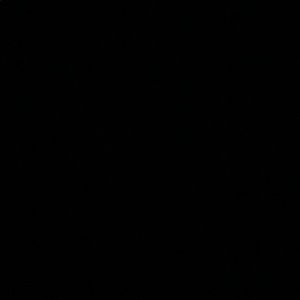 Meet your Posher, Ariel